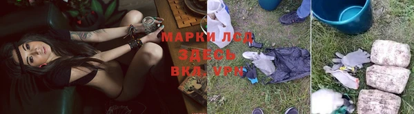 крисы Фёдоровский