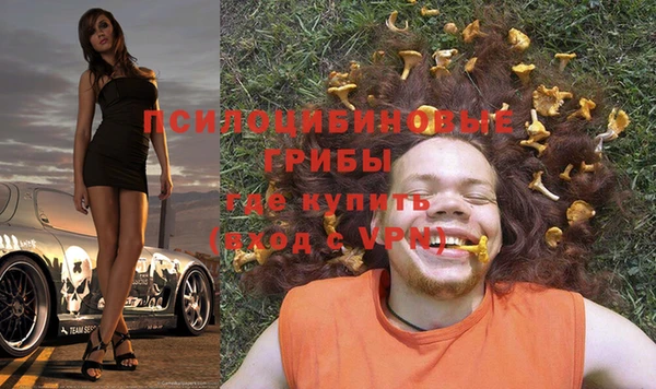 таблы Калининец
