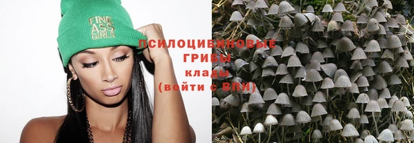 крисы Фёдоровский